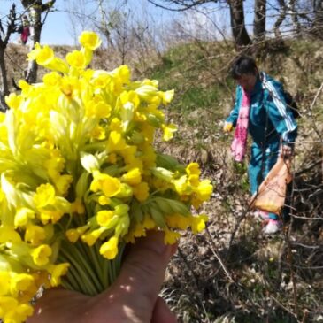 Zöld séta a Providentia Idősek Központjával, április 27-én 