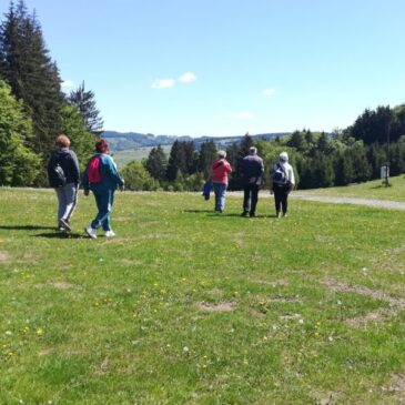 Zöld séta a Providentia Idősek Központjával, május 4-én 