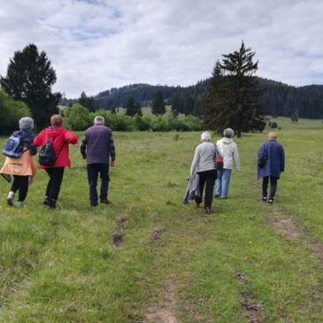 Zöld séta a Providentia Idősek Központjával, május 12-én 