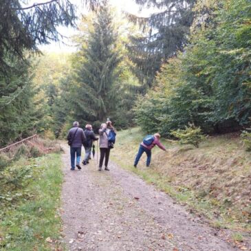 Zöld séta a Fitód – csíksomlyói borvízforrás – Kalász negyed útvonalon, a Providentia Idősek Központjával, november 13.-án 