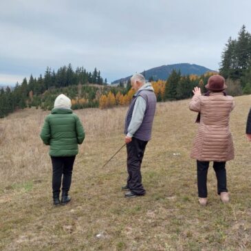 Zöld séta a Suta-tóhoz a Providentia Idősek Központjával, november 6.-án 